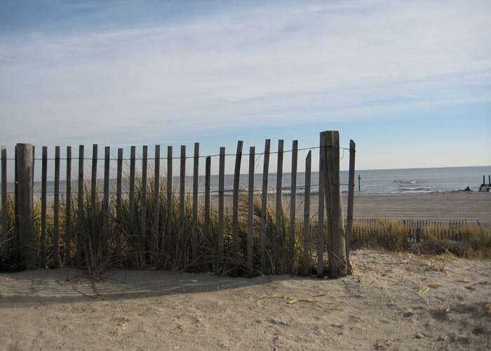 beach sand dunes. Beach - Dune Fence