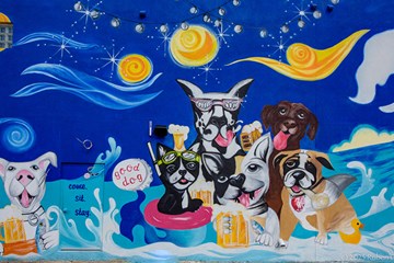 Good Dog Bar Mural Come Sit Stay. Mural by Heather Hires.