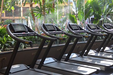 Unoccupied Treadmills waiting for runners nearby The Pool lush greenery at Harrah's fitness center in Atlantic City, NJ.