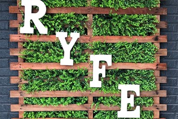 RYFE white letters on greenery and wooden sign board.